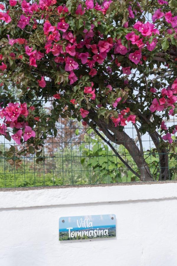 Villa Tommasina Carovigno Bagian luar foto