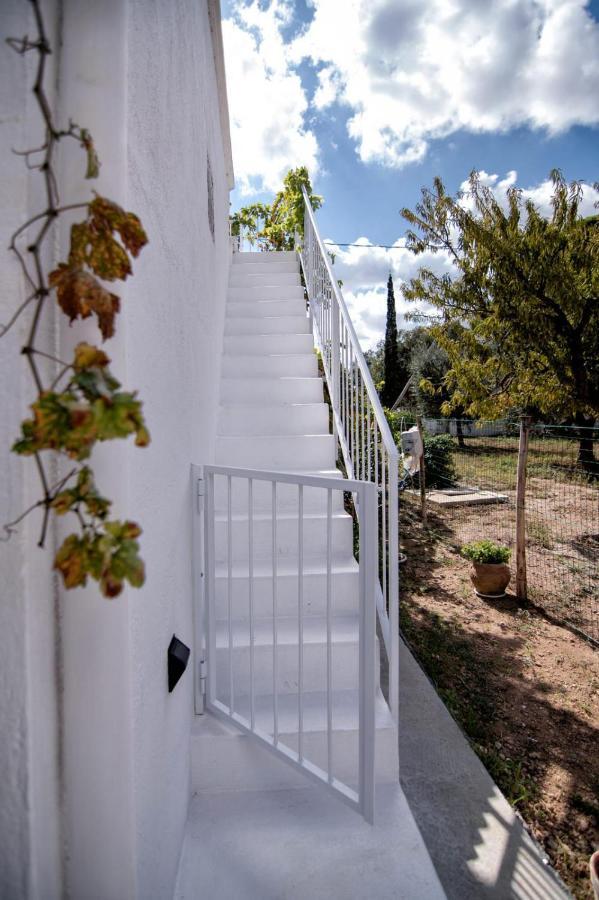 Villa Tommasina Carovigno Bagian luar foto